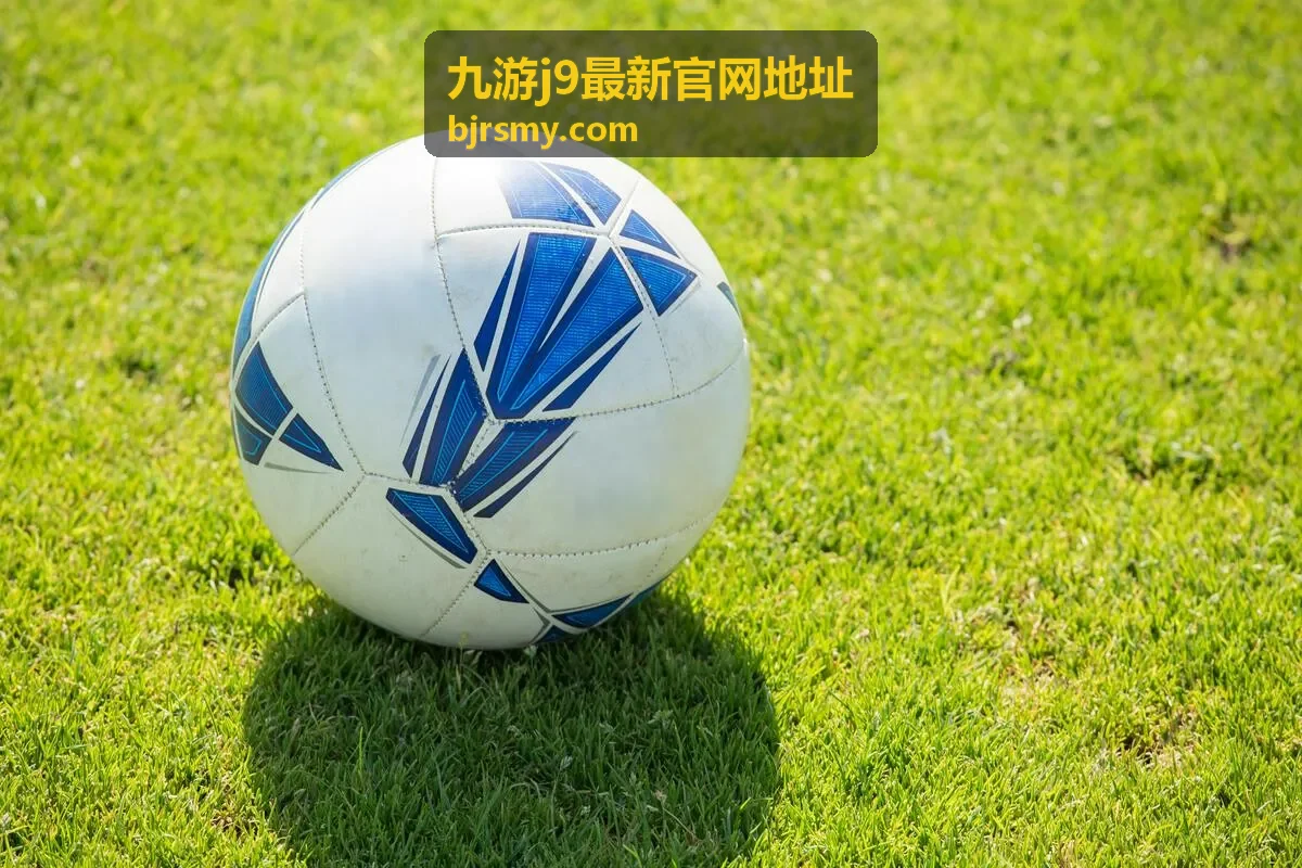九游j9最新官网地址安装与更新问题排查示意
