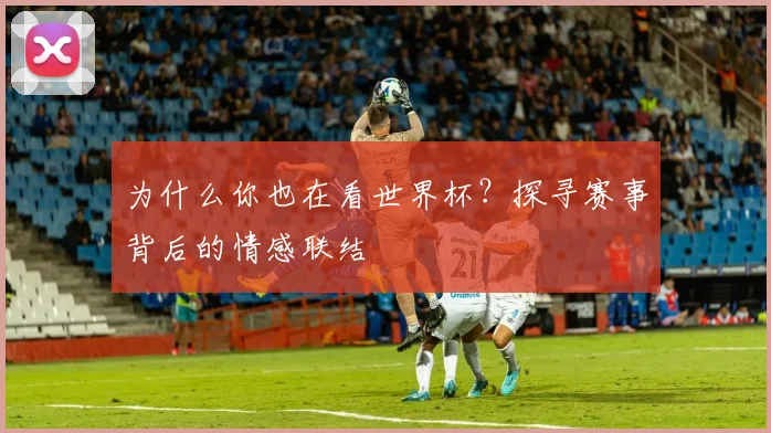 为什么你也在看世界杯？探寻赛事背后的情感联结