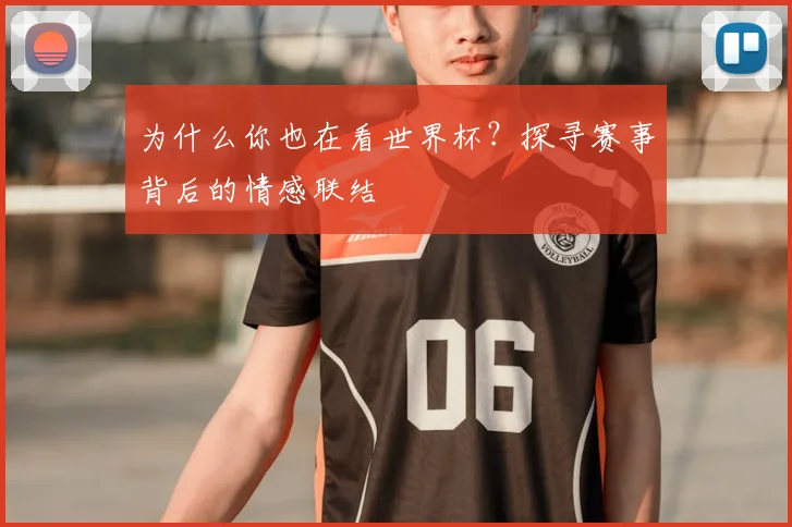 为什么你也在看世界杯？探寻赛事背后的情感联结